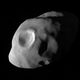 Image: NASA